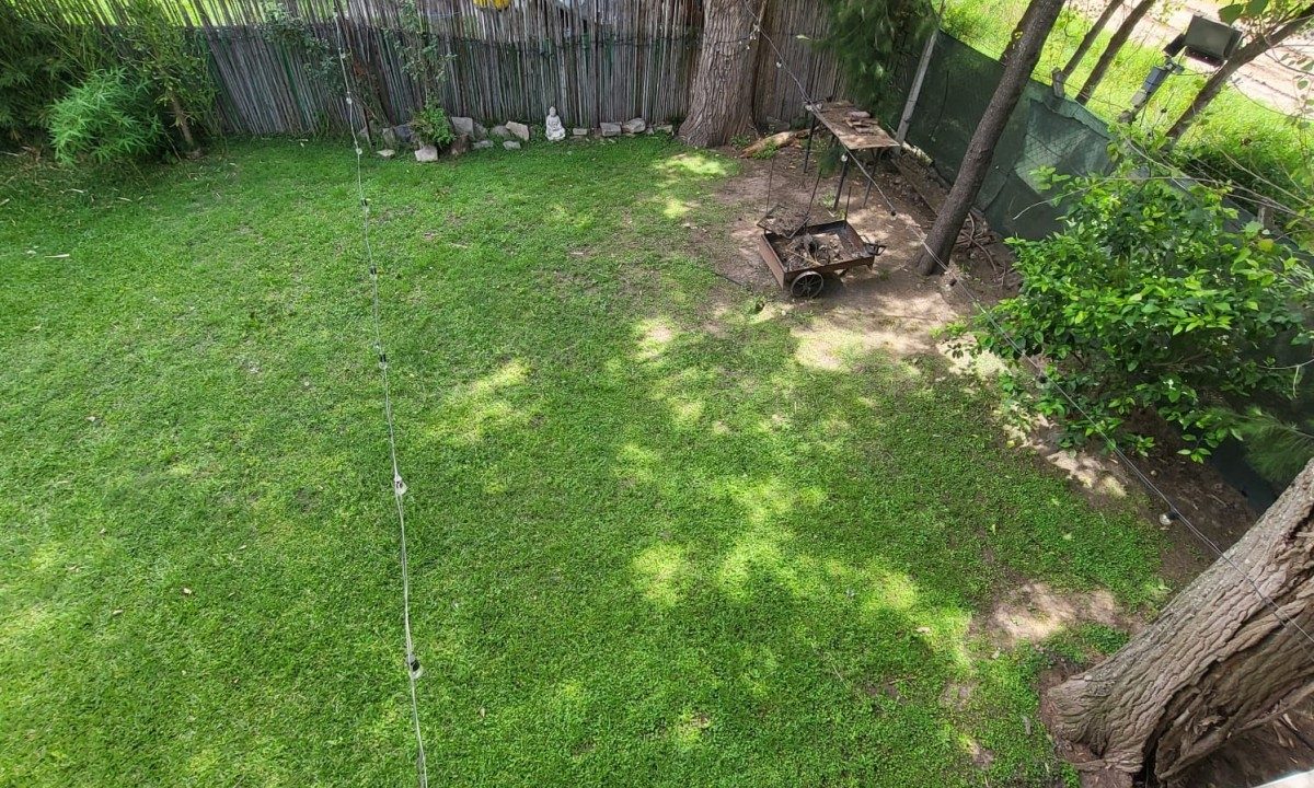 WhatsApp Image 2025-11-06 at 17.14.03