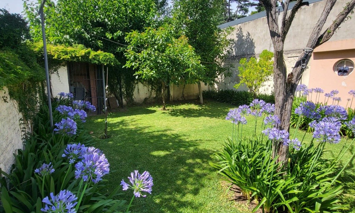 WhatsApp Image 2025-12-10 at 10.38.22