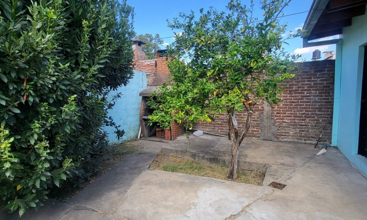 WhatsApp Image 2026-03-19 at 10.28.36 (3)