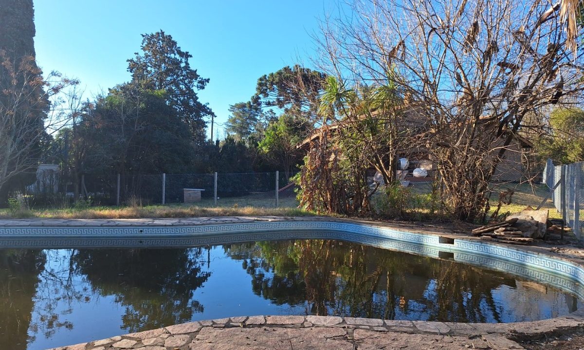 WhatsApp Image 2026-03-31 at 11.10.55 (3)