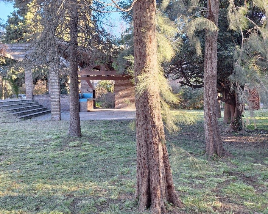 WhatsApp Image 2026-03-31 at 11.10.57 (1)