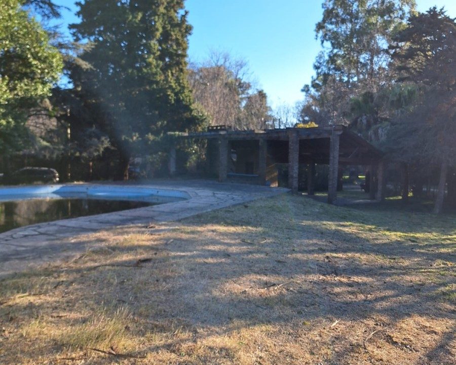 WhatsApp Image 2026-03-31 at 11.10.57