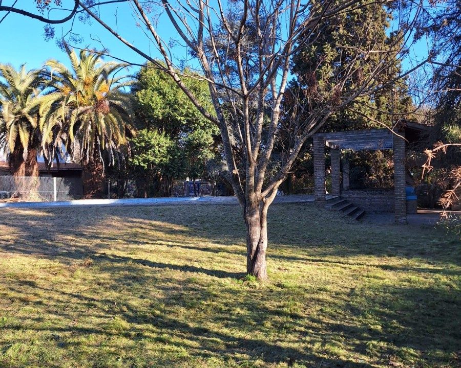 WhatsApp Image 2026-03-31 at 11.10.58 (2)